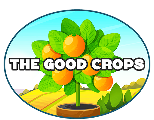 logo main